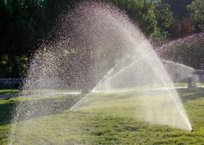 Sprinklers watering a lawn